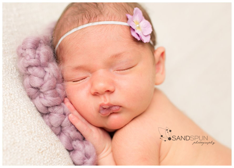 (C) Sandspun Photography www.sandspunphotography.com www.facebook.com/sandspun