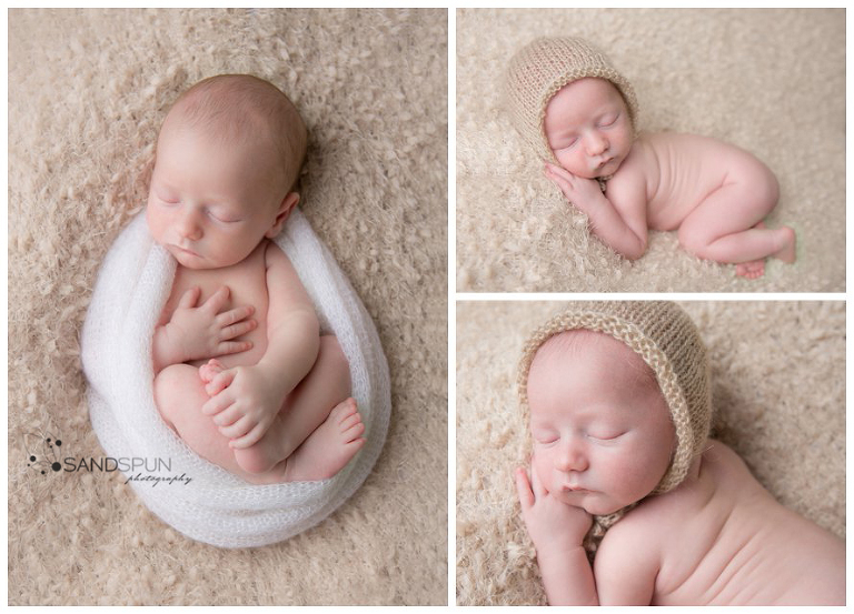 (C) Sandspun Photography www.sandspunphotography.com www.facebook.com/sandspun