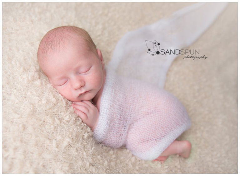 (C) Sandspun Photography www.sandspunphotography.com www.facebook.com/sandspun