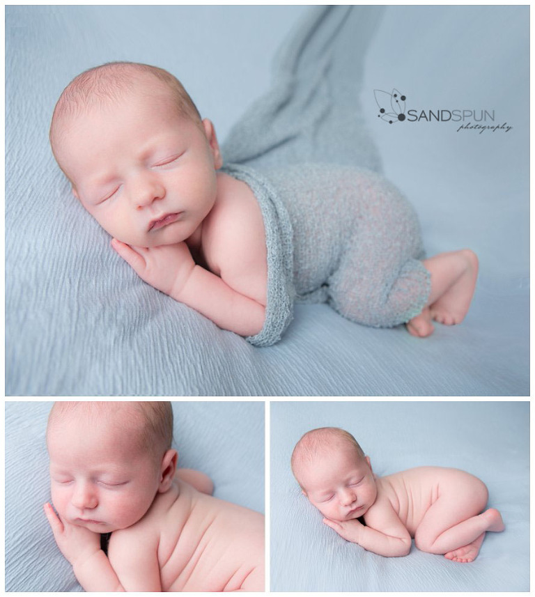 (C) Sandspun Photography www.sandspunphotography.com www.facebook.com/sandspun