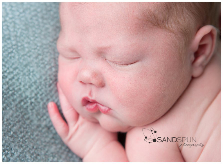 Leamington & Kingsville Newborn Photography 10