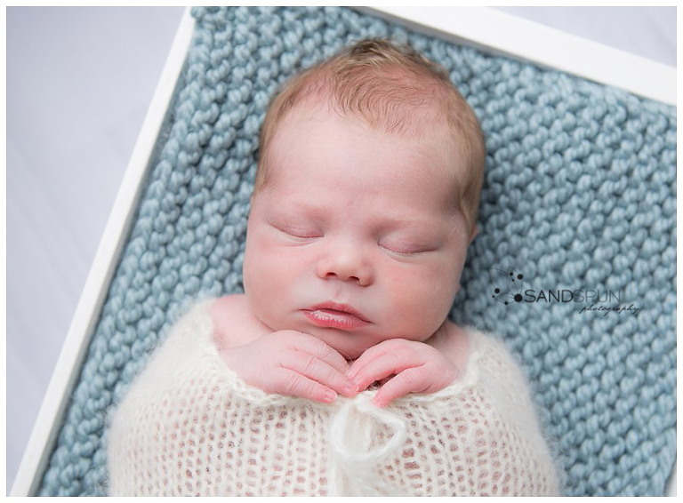 Leamington & Kingsville Newborn Photography 11