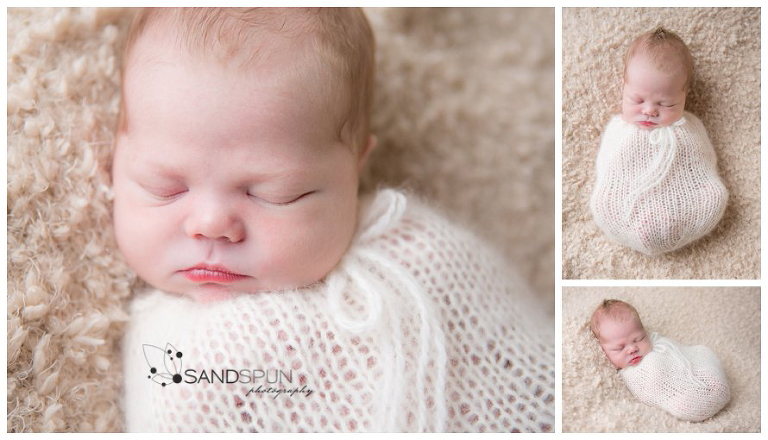 Leamington & Kingsville Newborn Photography 13