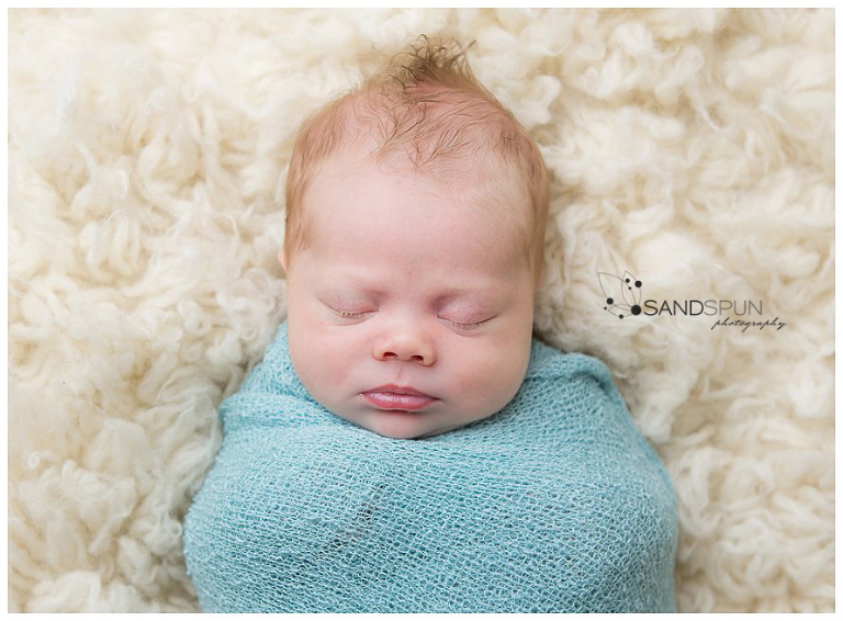 Leamington & Kingsville Newborn Photography 6