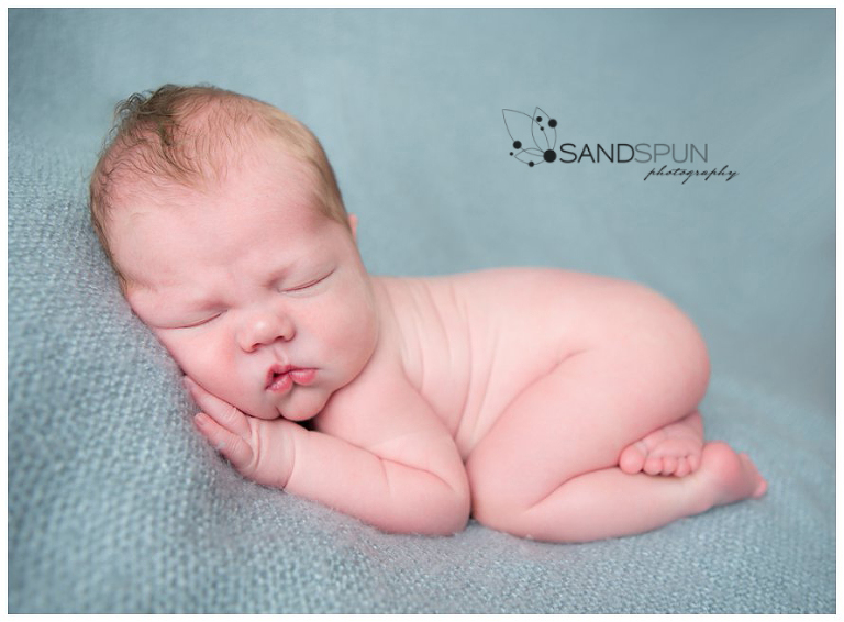 Leamington & Kingsville Newborn Photography 7